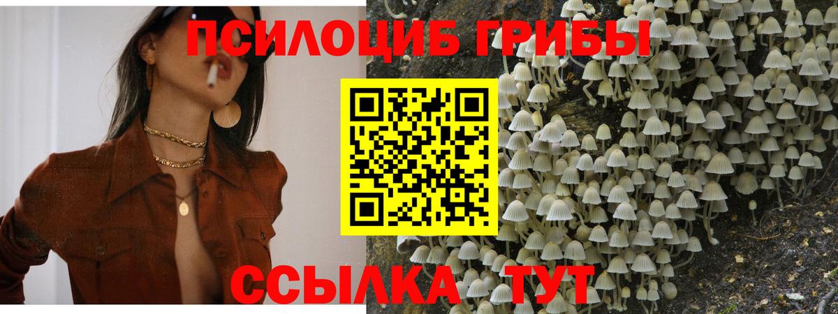 Псилоцибиновые грибы мицелий  закладка  Лесосибирск  Вход с VPN 